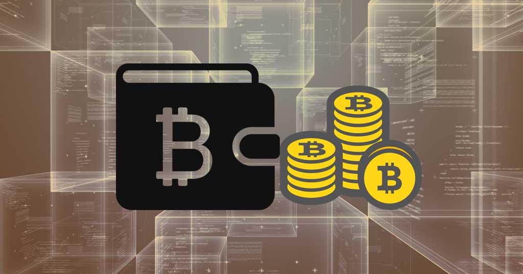 encrypt and backup crypto wallet