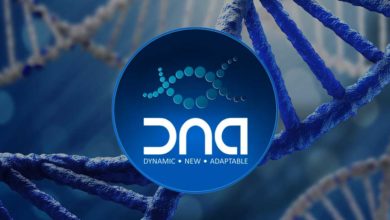 XDNA cryptocurrency