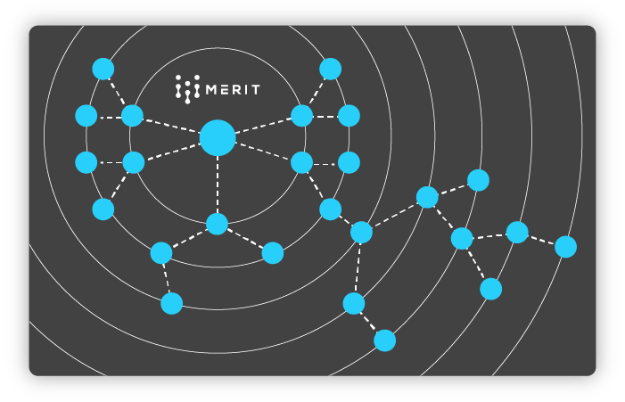 Merit PoG network