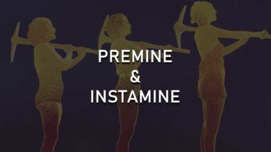 Premine and Insta-mine explained