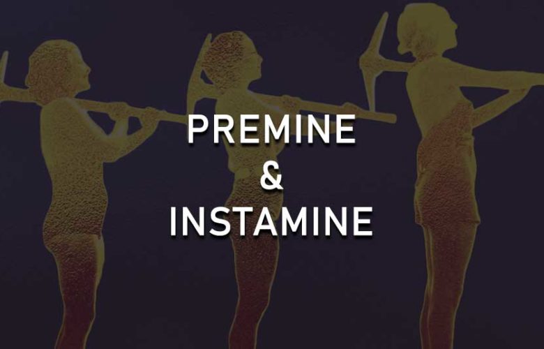 Premine and Insta-mine explained