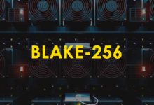 Blake 256 algorithm / coins