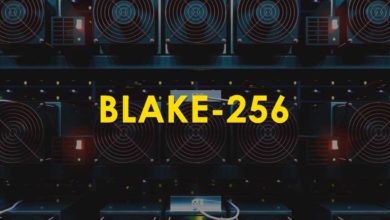 Blake 256 algorithm / coins