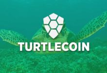 Turtle coin