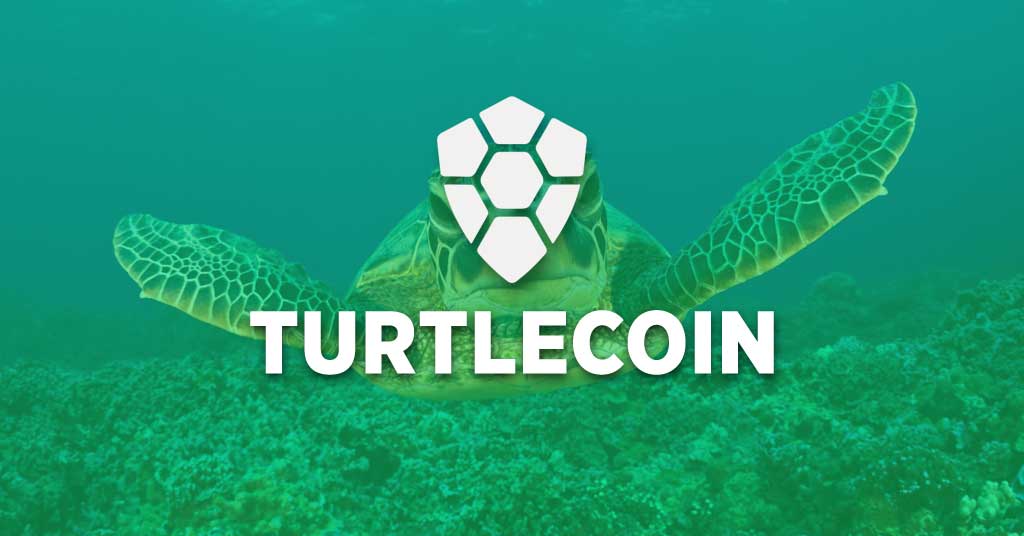 Turtle coin crypto roi crypto mining