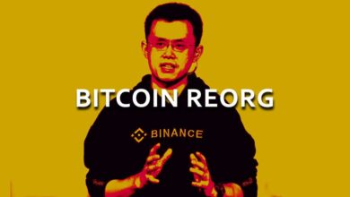 Bitcoin Reorg explained