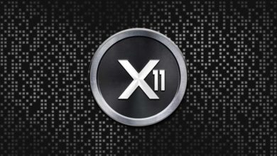 X11 Coins