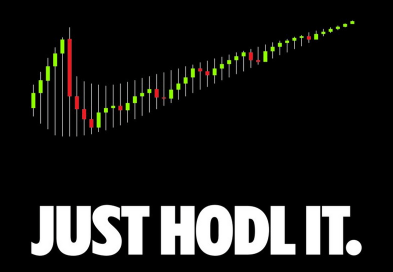 just hodl it