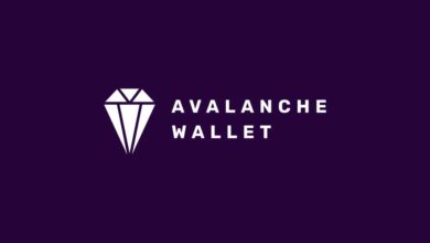 avax avalanche wallet