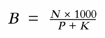 bnb auto burn formula