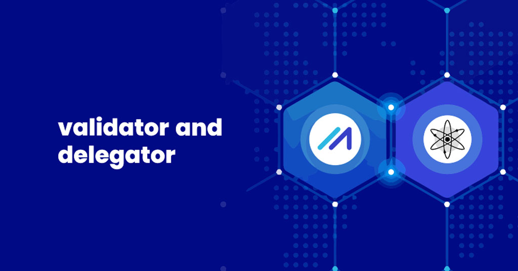 validator delegator